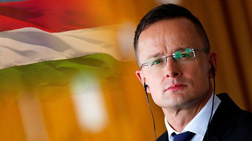 Глава МИД Венгрии ответил на обвинения европейских коллег