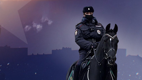 Патрулирование верхом. Как работает конная полиция (Полиция в городе. Серия 7)