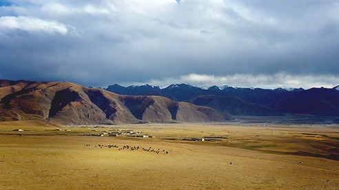 Путешествие в Тибет: яки, дома и священное озеро
