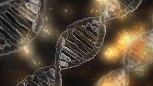 Редактируем геном. Как будут лечить болезни и замедлять старение
